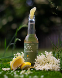 Fläder/Citron